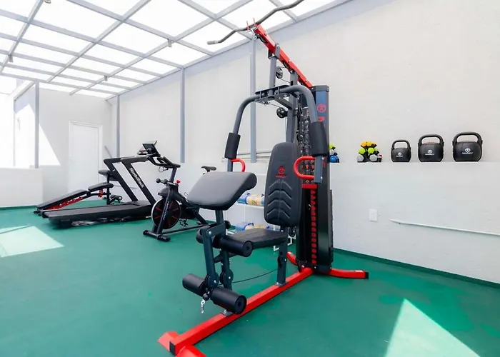 Capitalia Nuevo Polanco Retreat With Gym Apartment